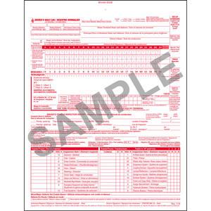 Canadian 2-In-1 Driver's Daily Log Book, Bilingual, 2-Ply, Carbonless - Stock