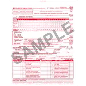 Canadian 2-In-1 Driver's Daily Log Book, Bilingual, 2-Ply, Carbonless - Stock