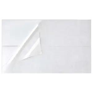 Record Of Annual Inspection - Clear Decal Overlay