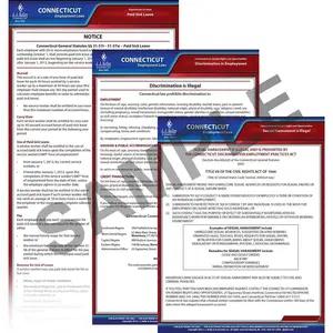 Connecticut & Federal Electronic Labor Law Poster Management Service
