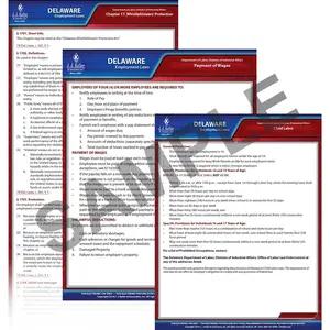 Delaware & Federal Electronic Labor Law Poster Management Service