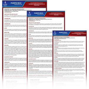 Puerto Rico & Federal Electronic Labor Law Poster Management Service