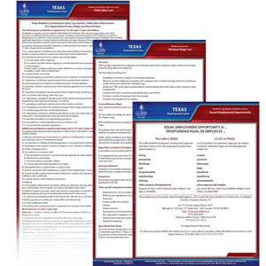Texas & Federal Electronic Labor Law Poster Management Service