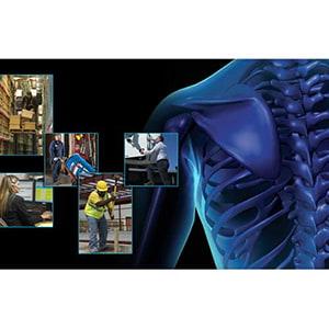 Back Safety: Keep Your Back In Action - Streaming Video Training Program