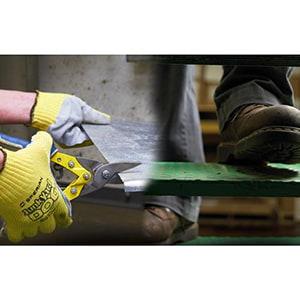 Hand & Foot Protection: PPE Workplace Safety - Online Training Course