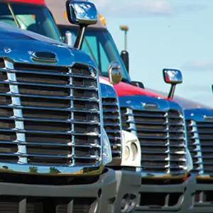 USDOT/MC Number Service