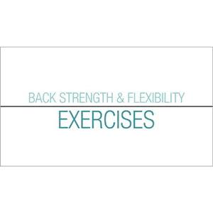 Back Safety: Back Strength And Flexibility Exercises - Streaming Video Training Program