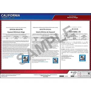 California / Hayward Minimum Wage Poster