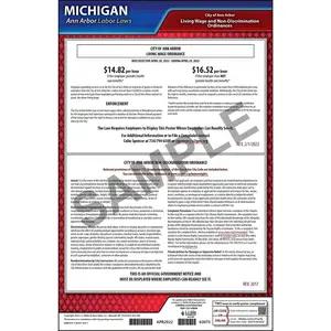 Michigan / Ann Arbor Municipal Code Poster