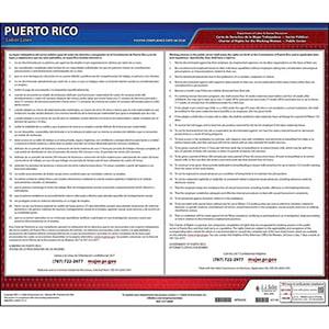 Puerto Rico Working Women's Bill of Rights Law Poster