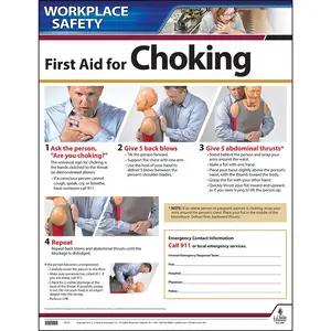 First Aid Choke Saving Instructional Chart