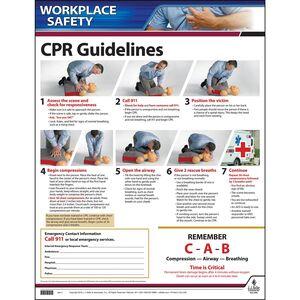 CPR Guidelines Instructional Chart