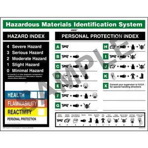 Original HMIS® Wall Poster
