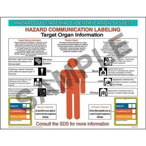 HMIS® III Target Organ Poster