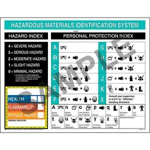HMIS® III Wall Poster