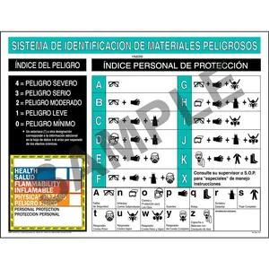 HMIS® III Wall Poster - Spanish