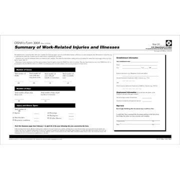 Form 300A Summary of Work-Related Injuries and Illnesses