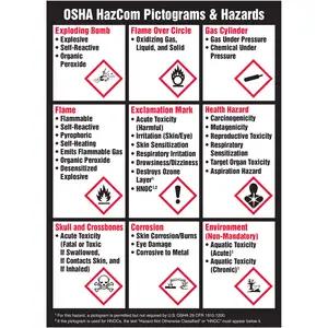 OSHA HazCom GHS-Style Pictograms & Hazards Sign