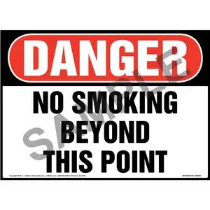 Danger: No Smoking Beyond This Point Sign - OSHA
