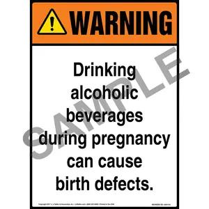 Warning: Drinking Alcoholic Beverages During Pregnancy Sign - ANSI
