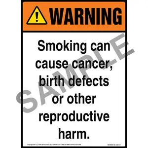 Warning: Smoking Can Cause Cancer, Birth Defects, Reproductive Harm Sign - ANSI