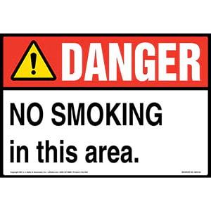 Danger: No Smoking in This Area Sign – ANSI – Extra-Large