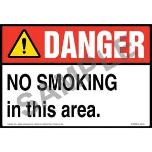 Danger: No Smoking in This Area Sign – ANSI – Extra-Large