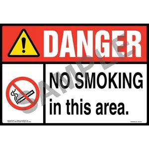 Danger: No Smoking in This Area Sign with Icon – ANSI – Extra-Large
