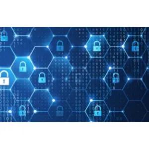 IT Security: An Overview - Online Training Course