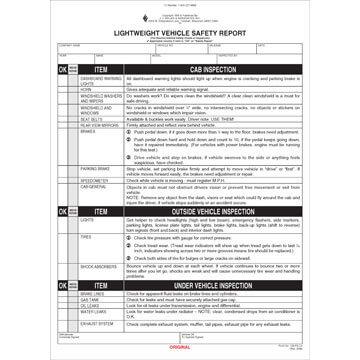 Lightweight Safety Inspection Report