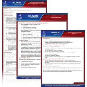 Delaware & Federal Electronic Labor Law Poster Management Service