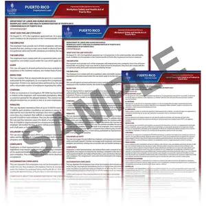 Puerto Rico & Federal Electronic Labor Law Poster Management Service