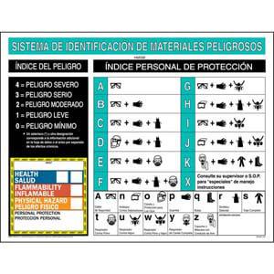 HMIS® III Wall Poster - Spanish