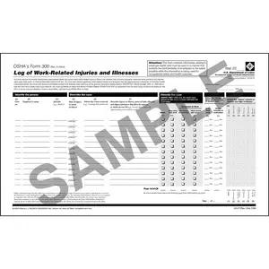 Form 300 Log of Work-Related Injuries and Illnesses